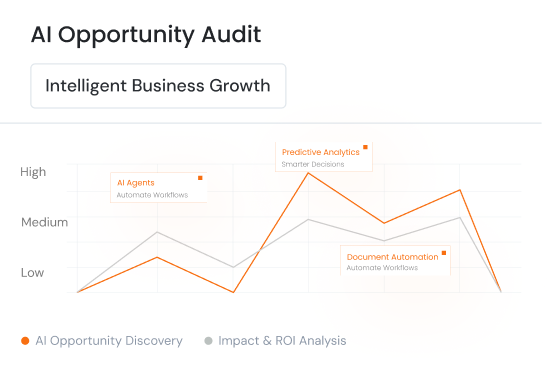 AI Opportunity Audit