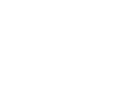 AI Opportunity Audit