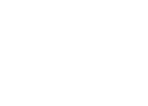 AI Voice Agents