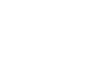 Embedded AI Engineers