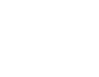 Hire a Dev